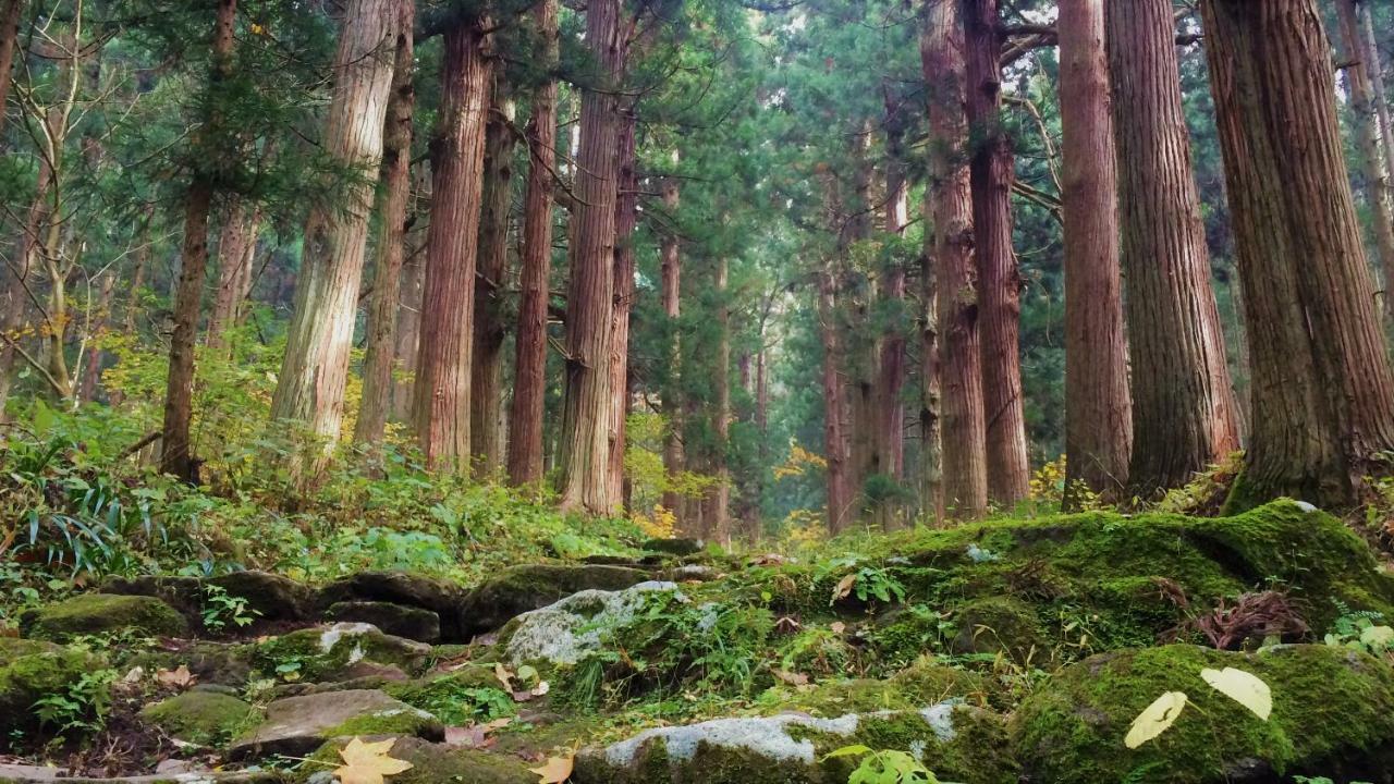 Blueberry Pension Madarao Iiyama Екстер'єр фото